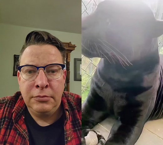 Knothead (@knothead9620)’s videos with Lion Roar - Sound Effects