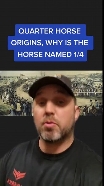 Why Are They Called Quarter Horses?