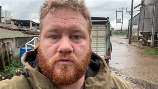 USA Trade Deal: What They're NOT Telling You About Your Food Chlorine chicken and hormone beef - the USA wants a trade deal that brings both to UK supermarkets. As a British farmer, I'm breaking down what this actually means for your food, our animal welfare standards, and why this matters whether you eat meat or not. The chlorine wash debate isn't about food safety - it's about farming standards. The hormone beef question isn't just about consumers - it's about British livestock farmers competi