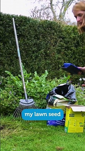 How to repair a patchy lawn