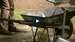 Life is dirt - dig it