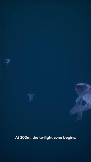 How Deep Is the Ocean?