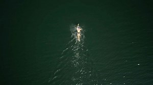Section Natation des Coqs Rouges Bordeaux on Instagram: "Osez Bordeaux Lac 2022 Merci aux nageurs et aux bénévoles encore une belle réussite la preuve sur cette vidéo !! Merci @yohan_estachy @coqsrougesbdx @osez_la_natation_en_eau_libre @gironde_natation #swimming #natationeneaulibre #bordeauxmaville"