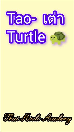 Tao Bin Meaning in Thai | Why is it Called Flying Turtle? 😳|Thai Hindi Academy #learnthai