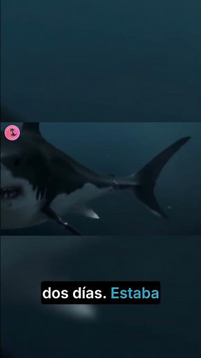 The Megalodon's superpower was its downfall: Hunger!