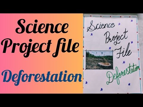 Deforestation project file/science project file/Deforestation science project /‪@AkshiColorscraft‬