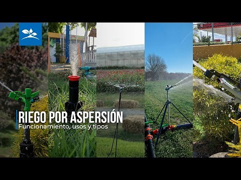 SPRINKLER IRRIGATION - EVERYTHING YOU NEED TO KNOW. HOW IT WORKS, USES, AND TYPES.