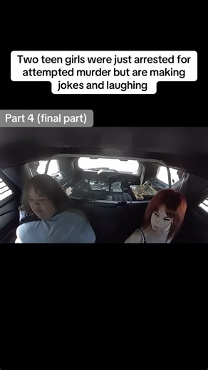 Final part of this series. I will make another video updating their case after the next court date April 29th. Thank you for watching, im thankful for any likes and comments or follows❤️ #truecrimetok #crime #fypシ #isabellevaldez #loislippert