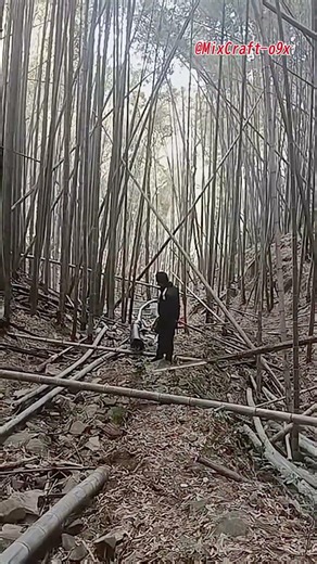 Smart Bamboo Transport Downhill Using Plastic Pipe Tracks #mixcraft