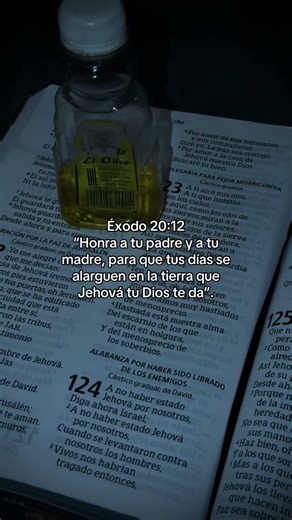 éxodo 20:12- honra a tu padre y a tu madre para que se alarguen tus días en la tierra