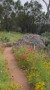 24K views · 620 reactions | Take a virtual hike on the Valley Spring...