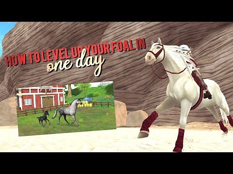 Star Stable Online - How to level up your foal in one day
