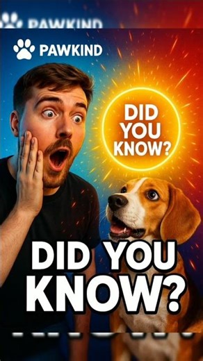 Did You Know? Dogs Shouldn’t Eat Sugar 🍬🚫🐶”