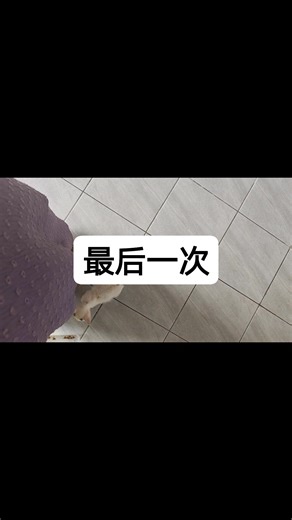 Lee Ai Ping on Reels