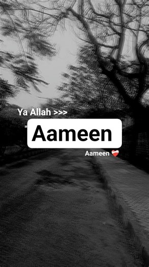 aameen ❤️‍🩹