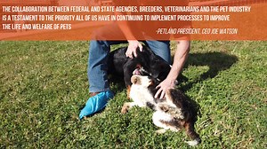 More than 250 breeders attended the 7th Annual Breeder Symposium hosted by Petland, USDA, AKC, ODA and others. The key areas of focus this year were socialization, enrichment, and retirement programs.  Hear more from Petland President Joe at https://bit.ly/2KS00jW | Petland Dayton York Commons | Facebook