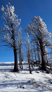 The Frozen Mountain Waking Up With The Morning Sun! ☀️ 🧊 #angryowloutdoors #idaho #morningice #mountainawakening #winterhit #icetrees | Edgar Rae