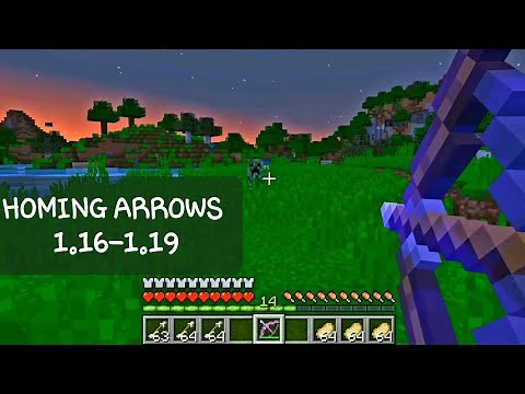 Heat Seeking\\Homing Arrows For (1.16-1.21)