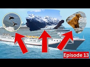 What Bucket List Excursions are there Haines, Alaska?