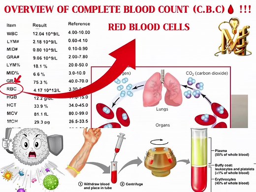 Understanding Complete Blood Count (CBC) Basics
