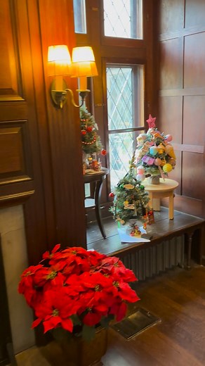 Wildwood Christmas Tree Decorating Contest! - This Tuesday you will be able to vote for your favorite Christmas tree in person and online! Contestants have worked hard to decorate their trees! Watch for more information coming next week! Wildwood Cultural Centeris located at 7645 Little Mountain Road, Mentor. | Wildwood Cultural Center