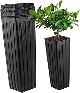 YARNOW 50pcs Tall Nursery Pots for Trees, 11.8 x 3.9 Inch, Black Plastic Grow Bags with Drainage Holes for Vegetables, Fruits, and Flowers