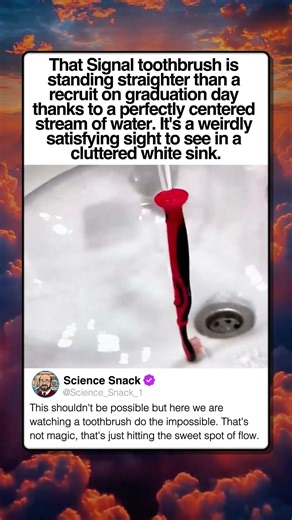 IMPOSSIBLE TOOTHBRUSH BALANCE IN SINK