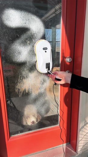 #windowwashingrobot #windowcleaningrobot #windowwasher #cleaningrobot