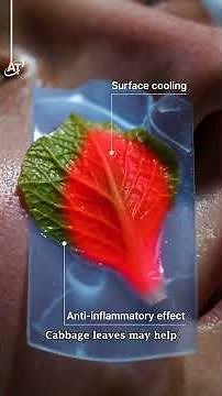 Cabbage Leaves for Knee Pain Relief?