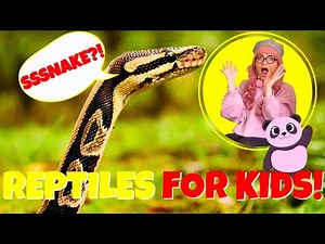 😲 Meet Amazing Snakes! 🐍 Fun Reptile Adventure for Kids & Toddlers