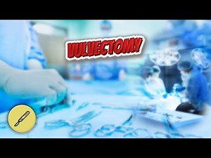 Vulvectomy - Everything Surgeries ✅😬⁉️