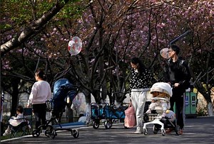 China kicks off nationwide population survey amid declining birth rate