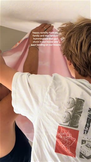 This isn't a birdhouse, bud! 🐦💨🏡 #Hummingbird #Bird #Rescue | The Pet Collective