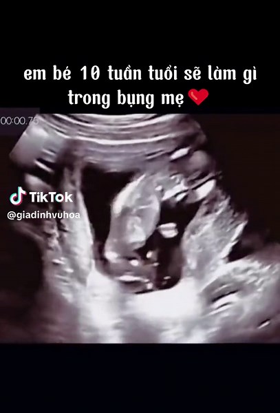 Liveboxfilm trên TikTok