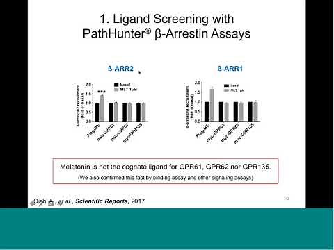 Application of β Arrestin Assays to the Orphan GPCR World