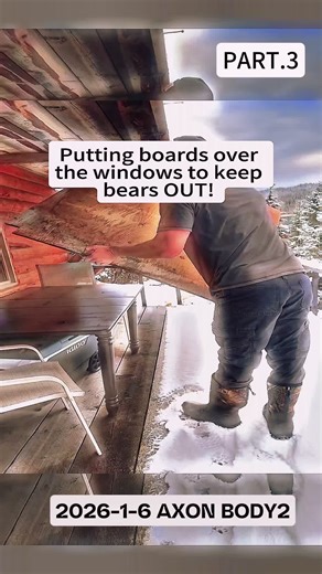 Keeping Bears Out: Secure Your Cabin Windows