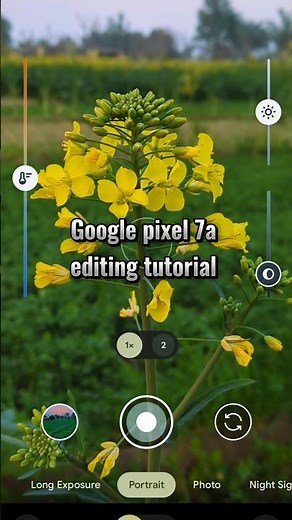 google pixel 7a photos editing tutorial