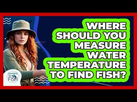 Where Should You Measure Water Temperature To Find Fish?