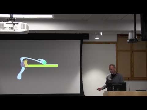R. Kelly Dawe: Meiotic Drive: A chromosome movement phenomenon