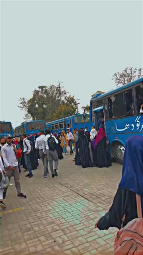 Embracing College Life: Tips for a Memorable Experience