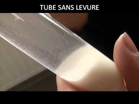 Fermentation des levures de boulanger.