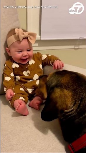Baby giggles uncontrollably as dog licks her feet
