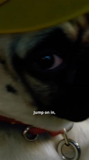 More style. Better visibility. More HELLA. 🎶💡 Discover our wide range of LED work lights and beacons. More information: https://www.instagram.com/hella.usa/ | HELLA