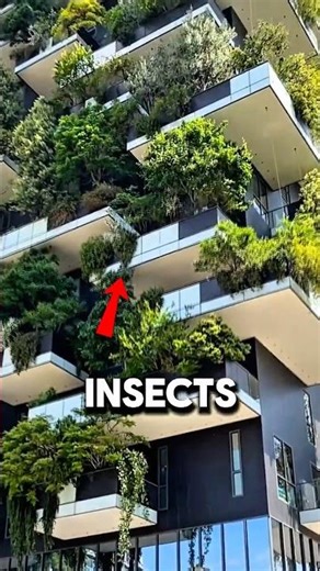 Vertical Gardens Turn Buildings Into Forests 🧠