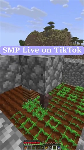 This Minecraft SMP is different #minecraft #smp #exclusive #smplive
