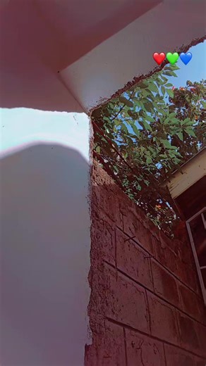 Shylock💫✨ (@shylock339)’s videos with original sound - Itsdvoice