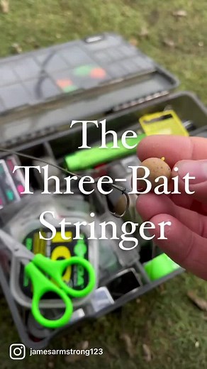 20K views · 219 reactions | The Three Bait Stringer‼️ An old school method but one that continues to work. #carpfishing #carpangling #angling #facebookreels #trendingreels #karper #fishinglifestyle | James Armstrong Angler | Facebook