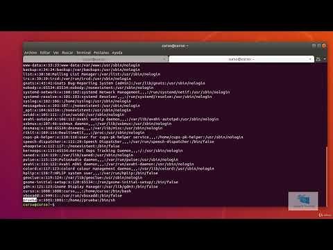Linux Cambiar propietario y grupo de un fichero Comandos chown y chgrp