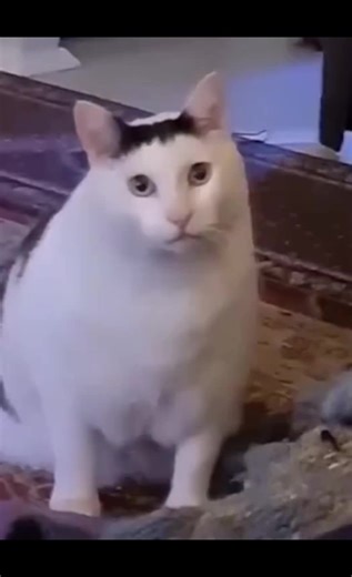 AA_Drawing on TikTok