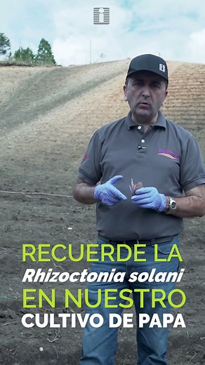 🌿 AGROINVESA | ¿CÓMO CONTROLAR LA RHIZOCTONIA EN PAPA? 🥔